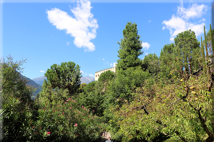 foto Giardini Trauttmansdorff - Giardini del Sole